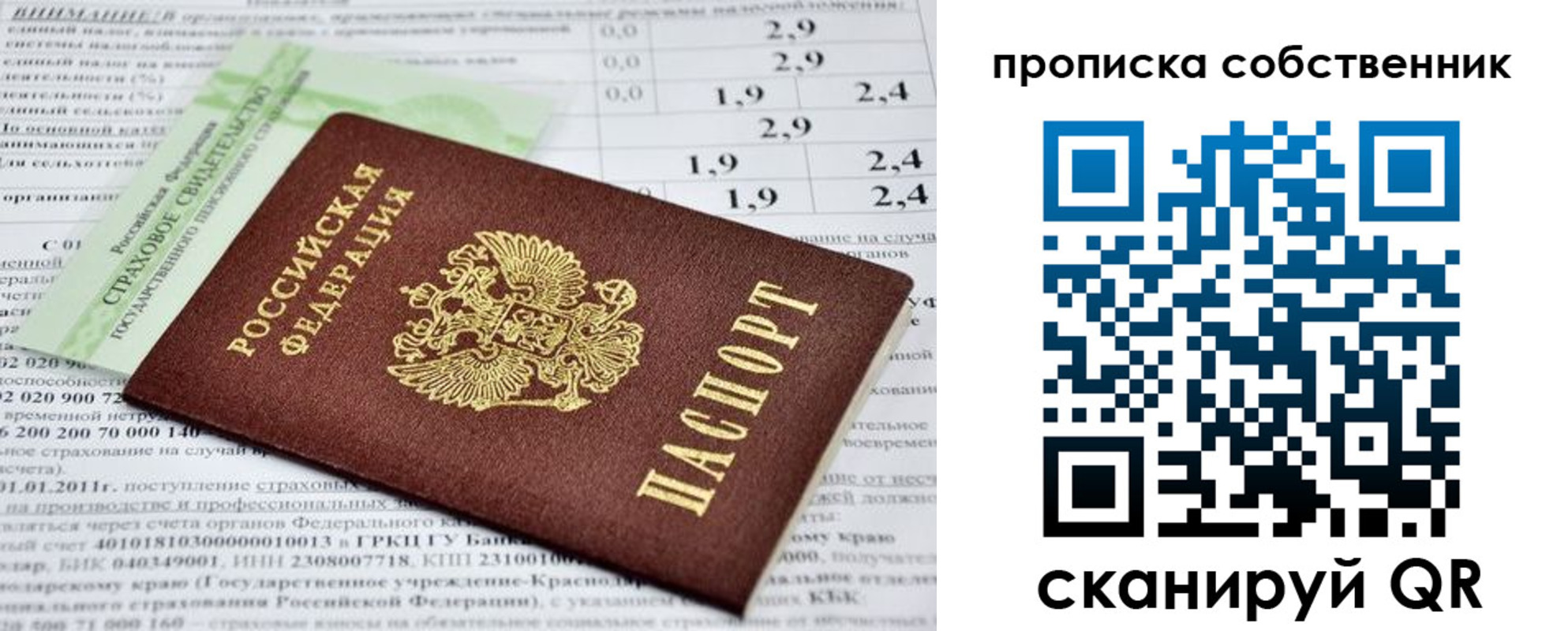 прописка 2025 в Михайлове